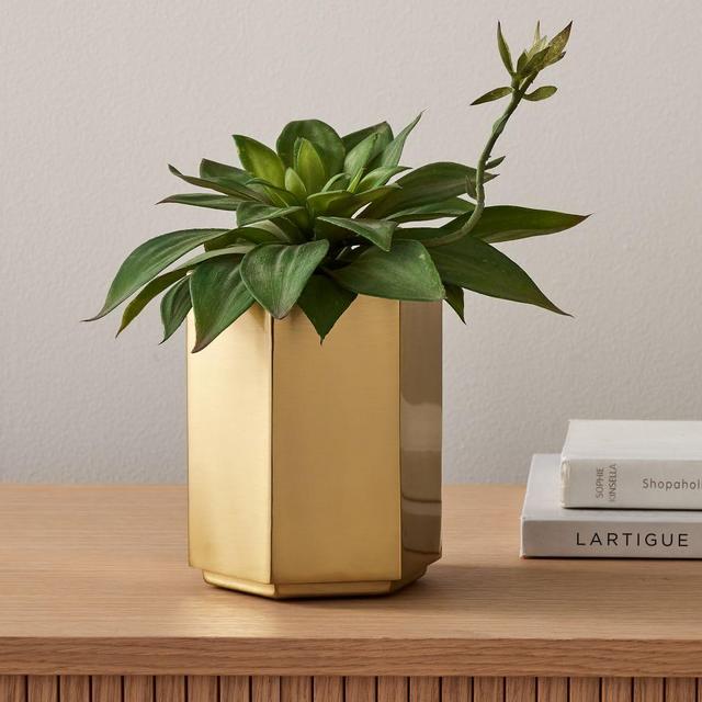 Hexagon Tabletop Planter, 4.6"D x 5.6"H, Antique Brass