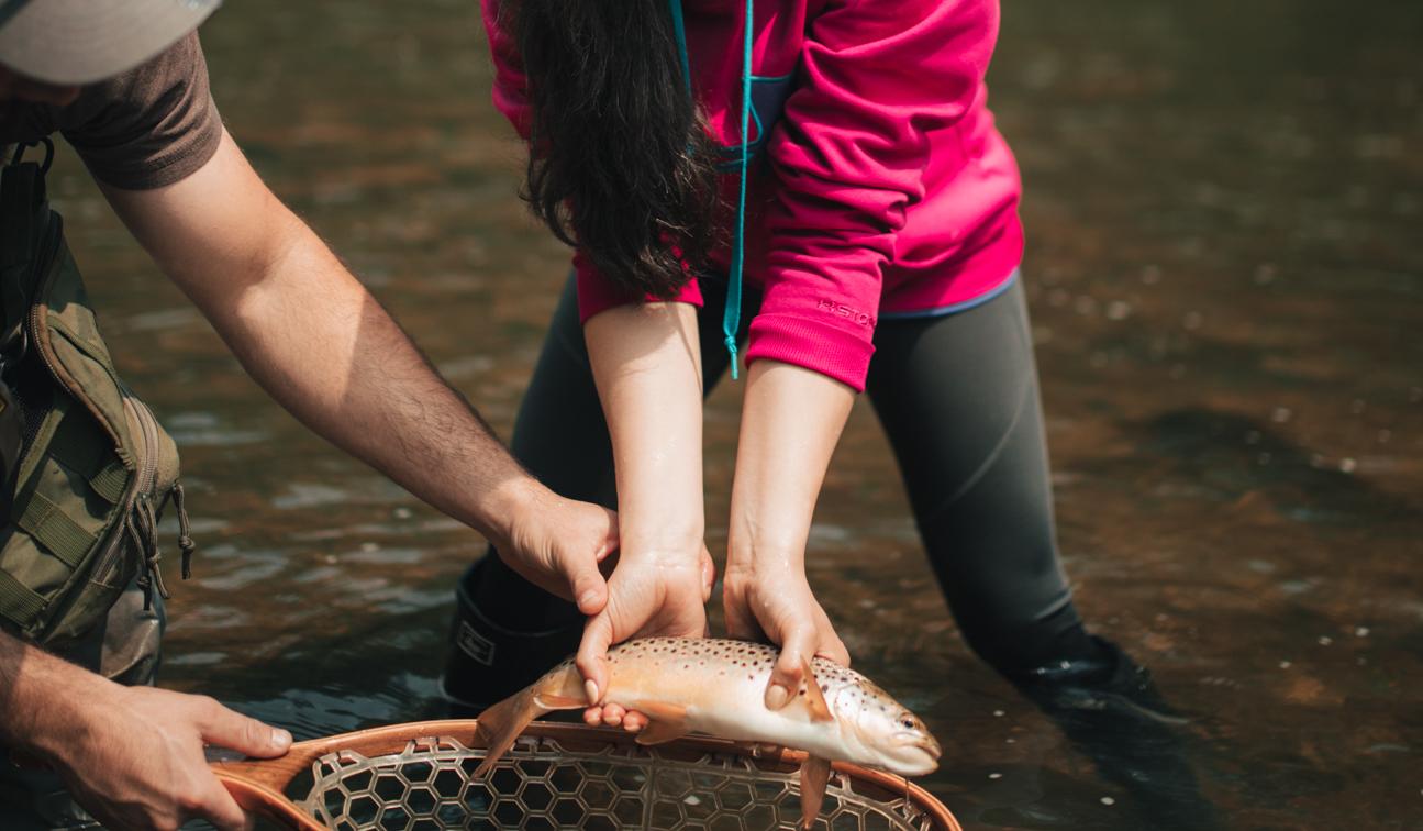 Hero Slideshow Image 5