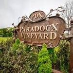 Paradocx Vineyard
