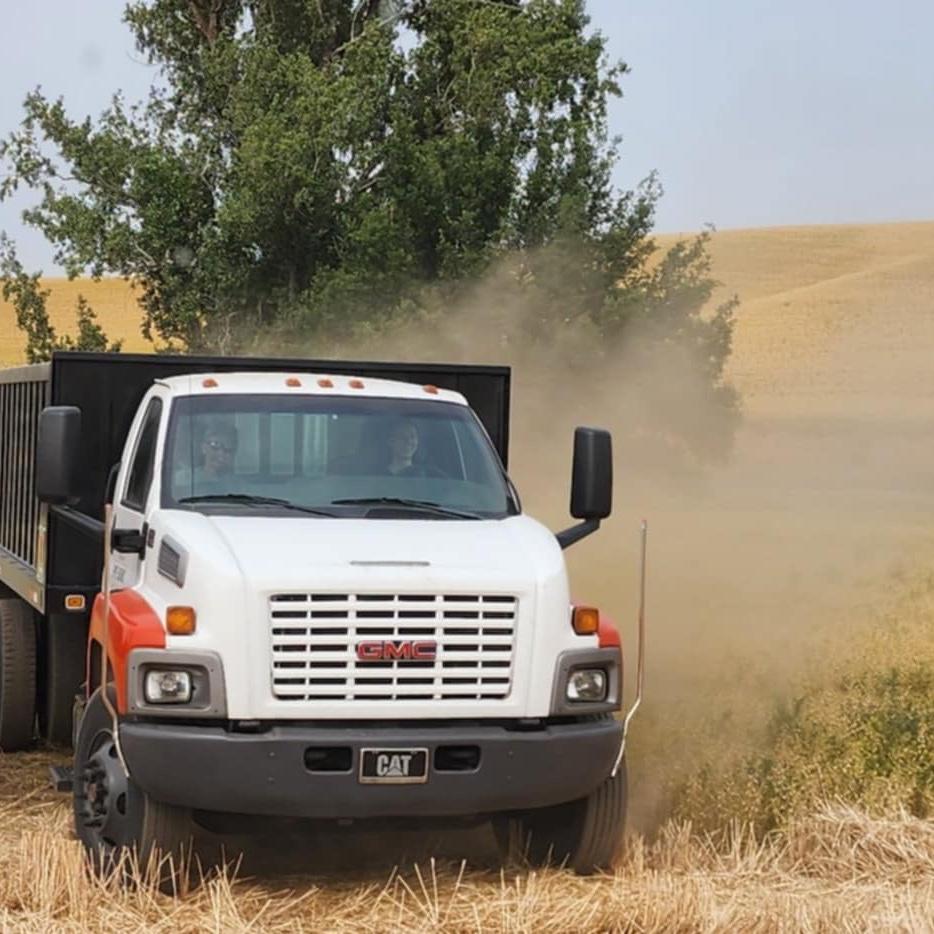 Juli driving grain truck.
