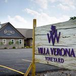 Villa Verona Vineyard