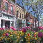 Pearl Street Mall