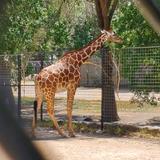 Lee Richardson Zoo
