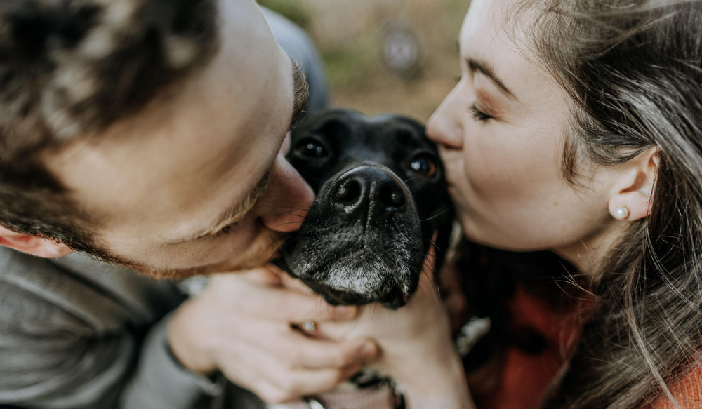 Stephanie Roulier and Joseph Tumblin's Wedding Website