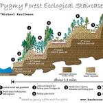 Jughandle State Park - Pygmy Forest- Trail Destination