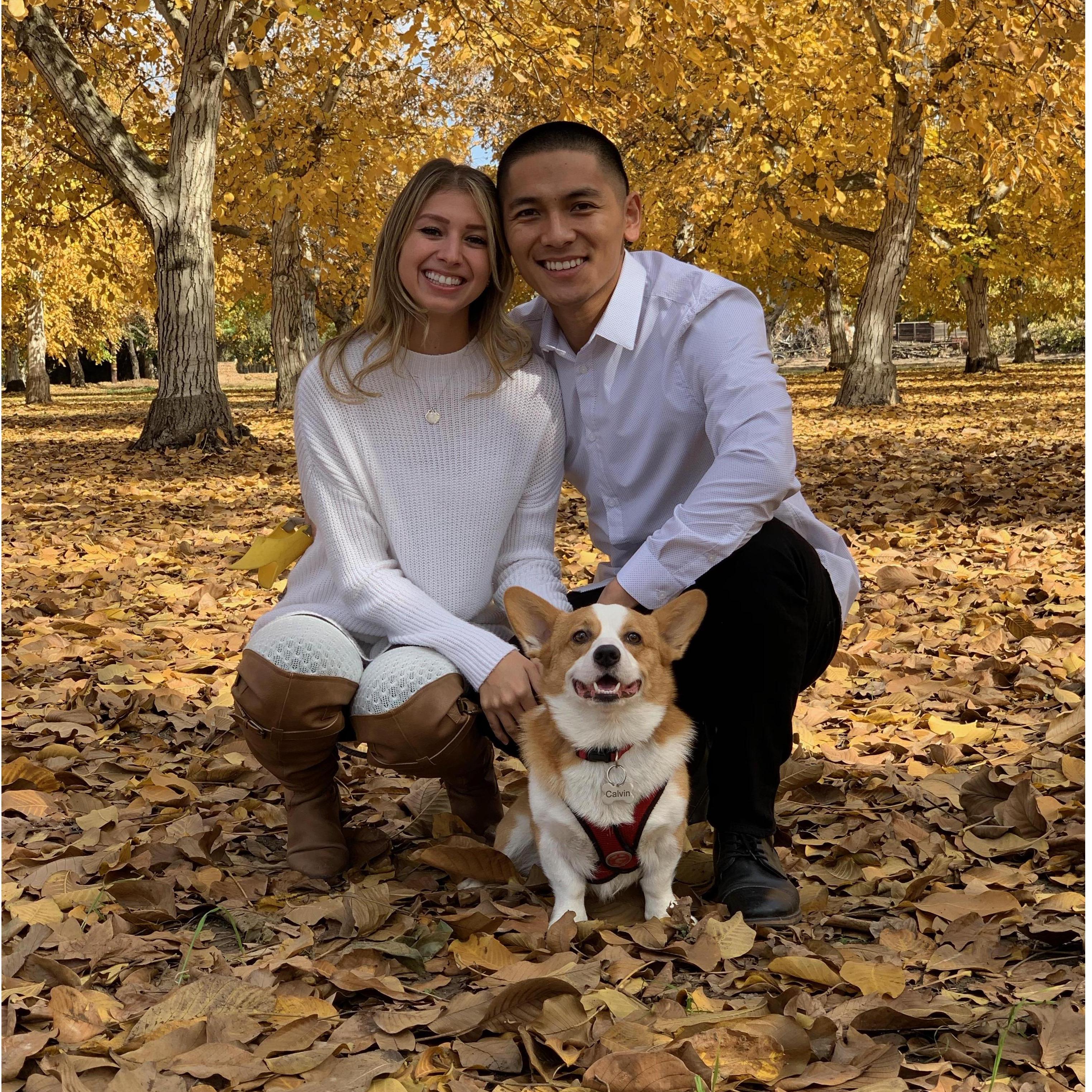 Fall 2018