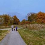 Fox Ridge Nature Park