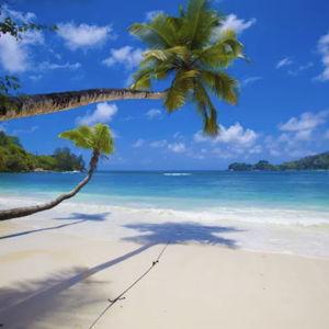 Honeymoon Fund