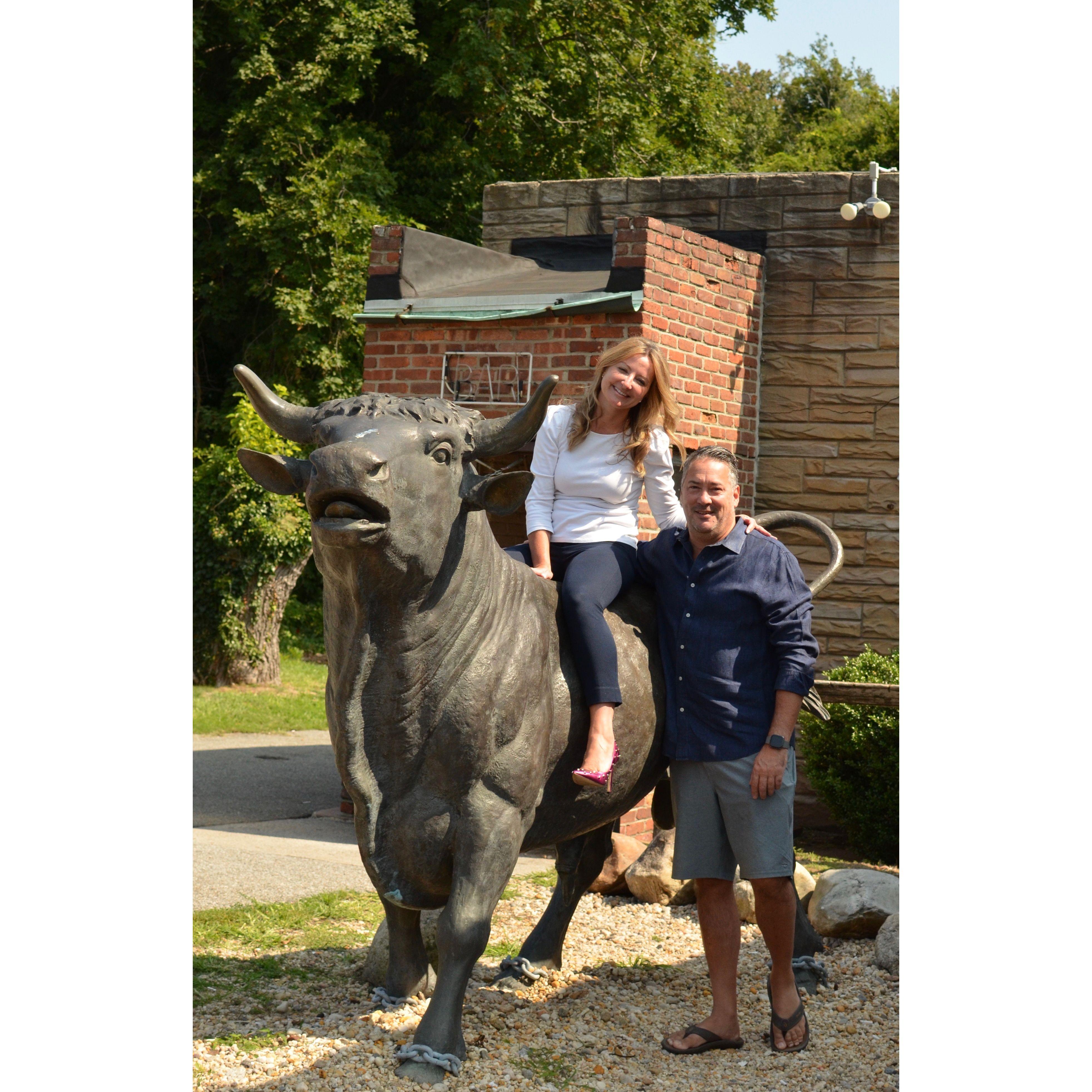 Life is like a Bull Ride