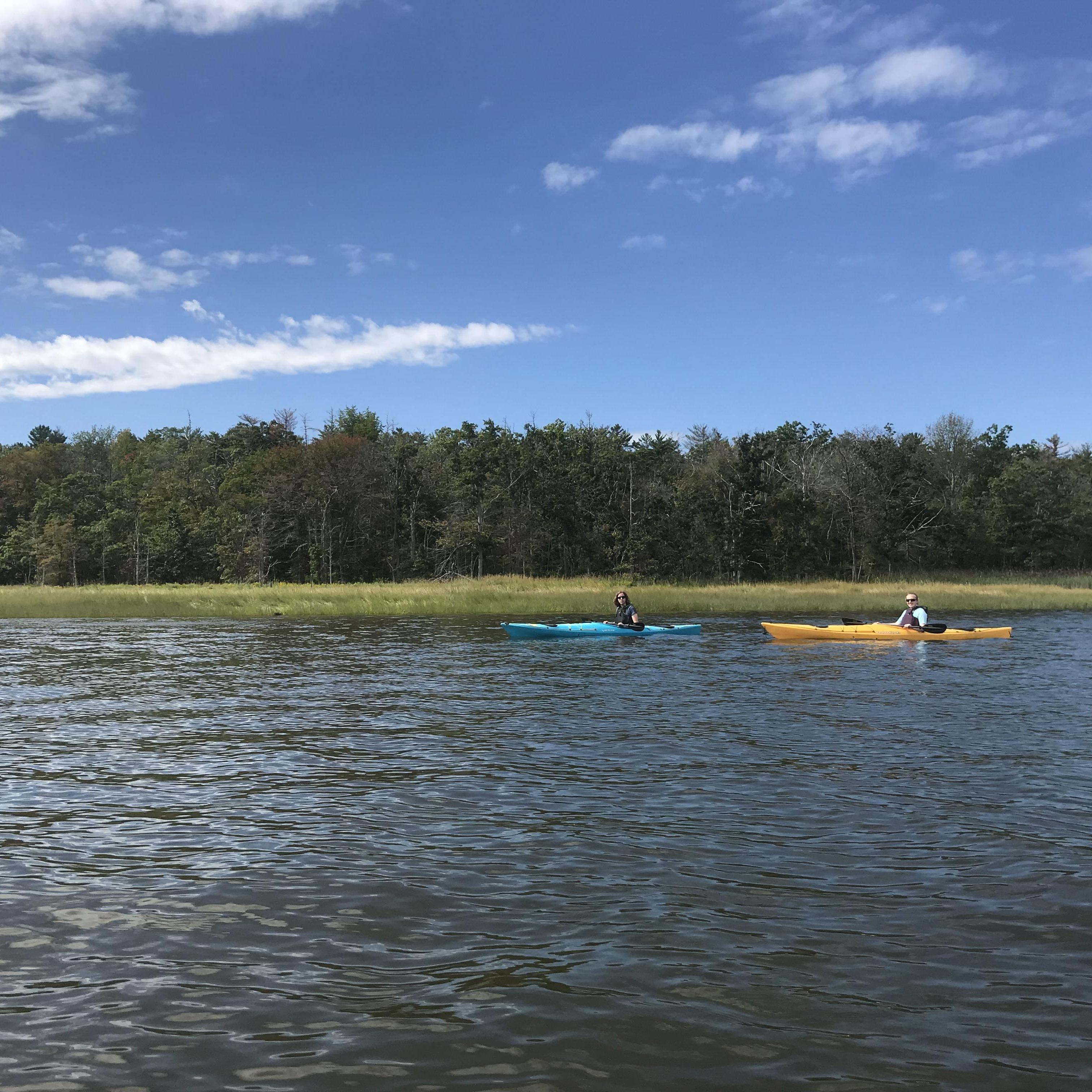 Taking in the scenery on a recent kayak trip on the Lamprey River and in Great Bay, near Newmarket, NH.
