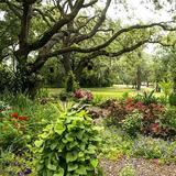 Mead Botanical Garden