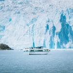 Kenai Fjords Tours (Activity)