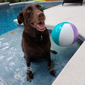 Animal Advocates Rescue in Honor of Maggie Keenan