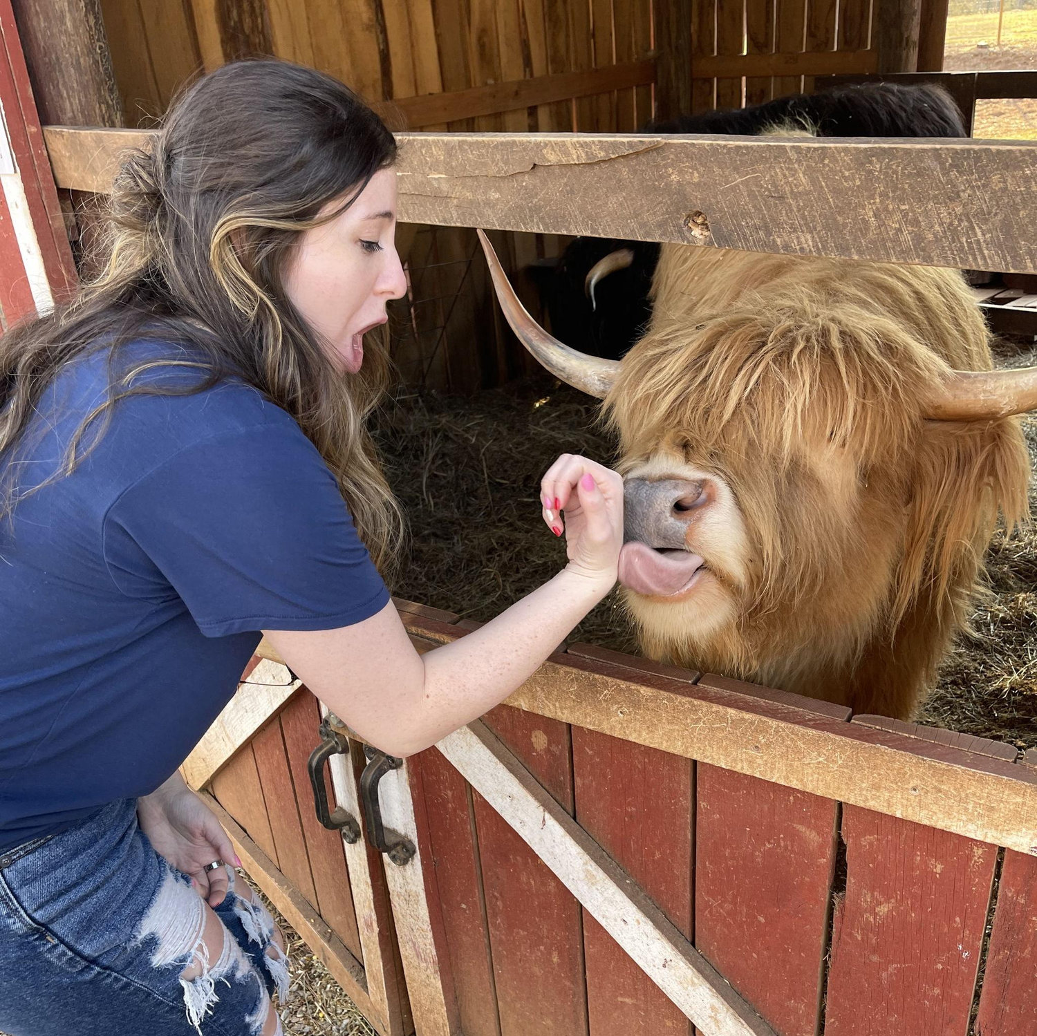 First Valentines together at the farm in Chapel Hill