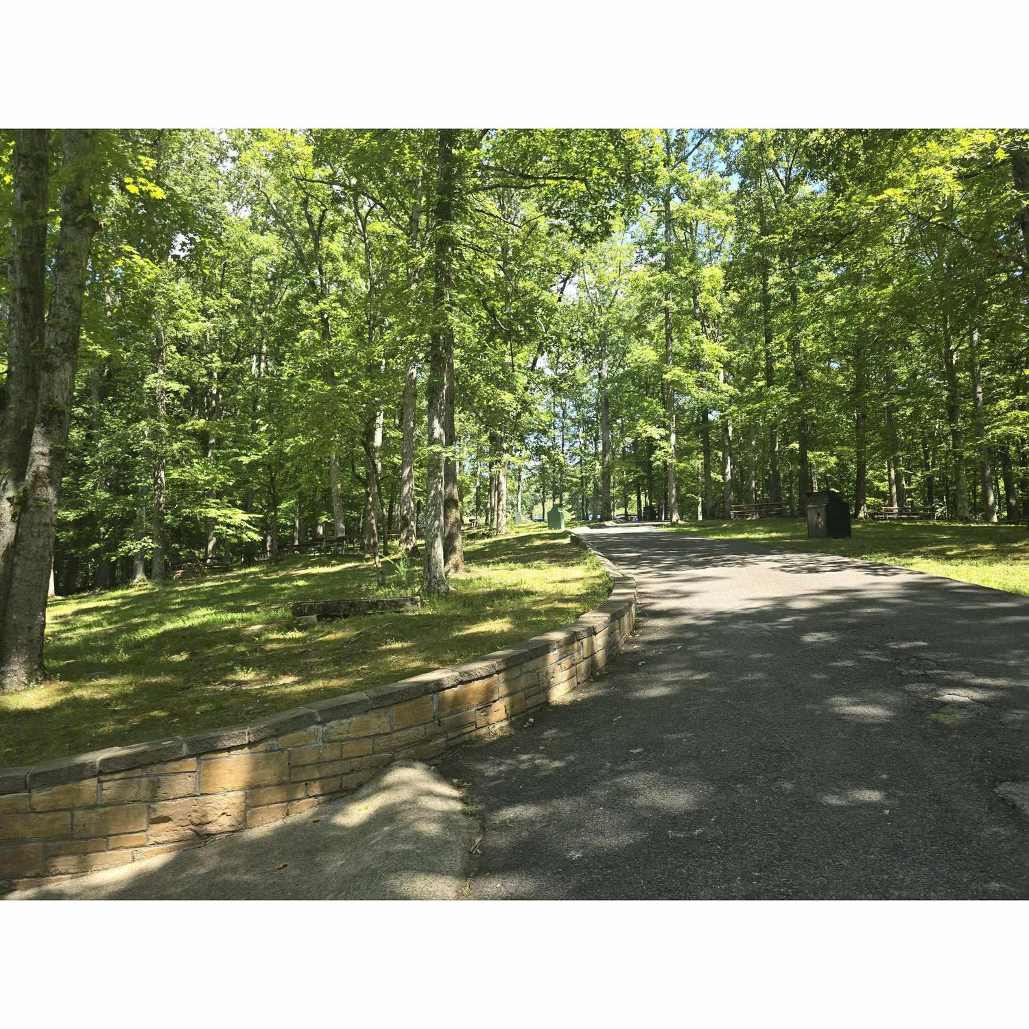 This is the sloped path we mentioned on the schedule page to get down to the Lake Acorn Pavilion.