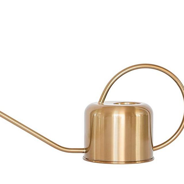 (Gold) Premium Houseplant Watering Can - Decorative Gold / Silver Modern Gardening - Perfect for Indoors with Long Spout