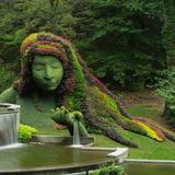 Atlanta Botanical Garden