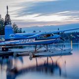 Paynes Seaplanes & Air Services