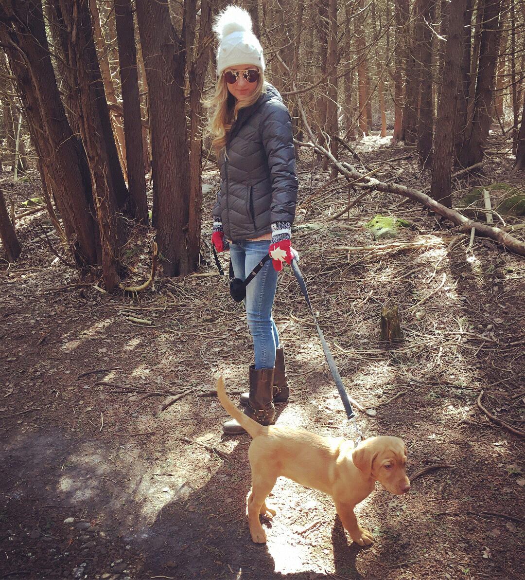 #furbaby #puppysfirsthike #surftheredfoxlab