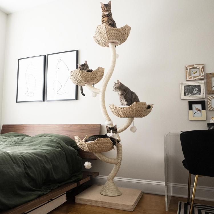 Mau Pets Ivy Modern Cat Tree Zola