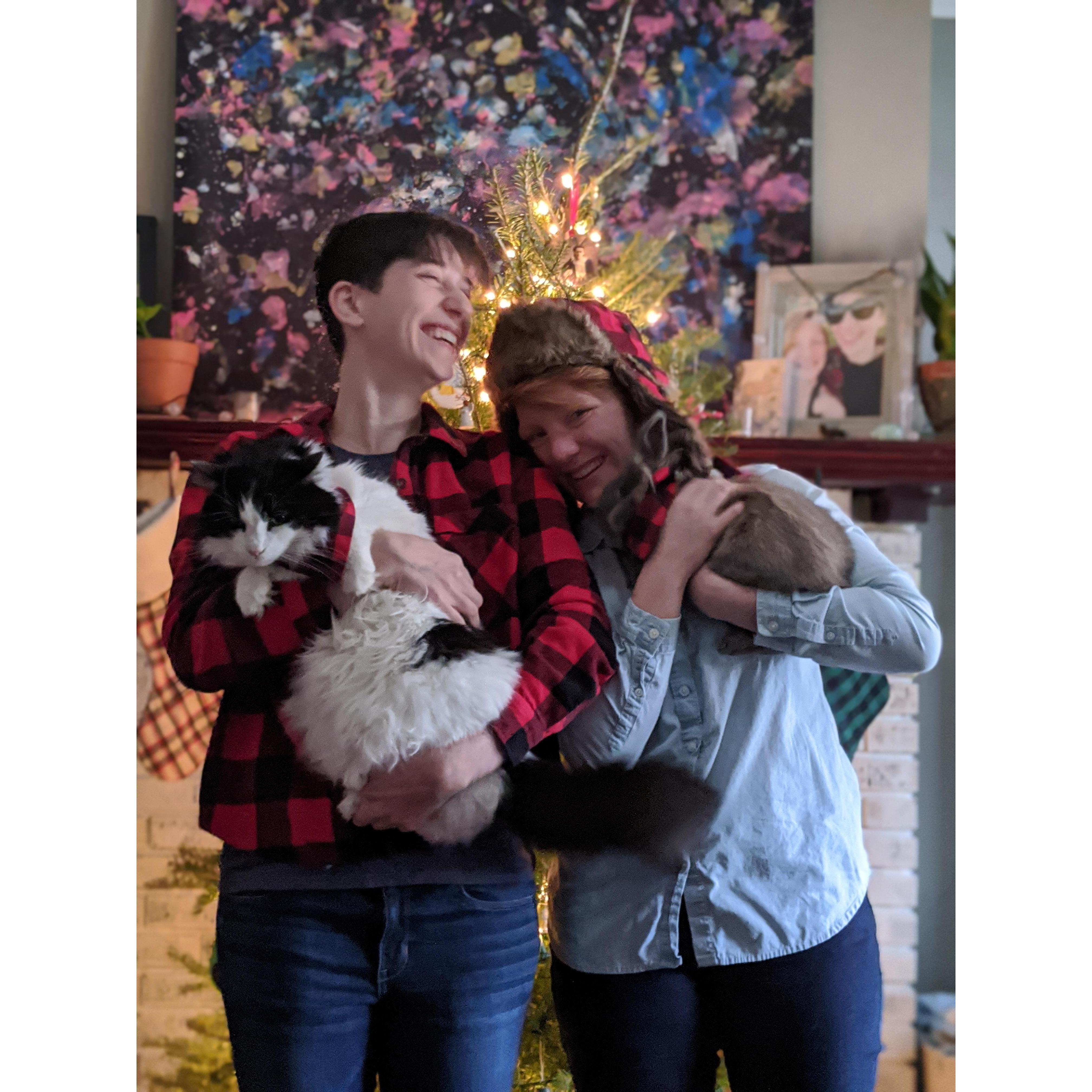 Christmas 2019 with Balto the Balsam, featuring The Mammals