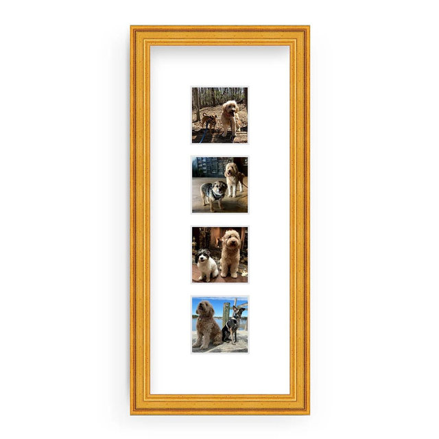 The Photo Strip