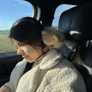 Pet Babysitting Fund