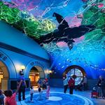 St. Louis Aquarium at Union Station