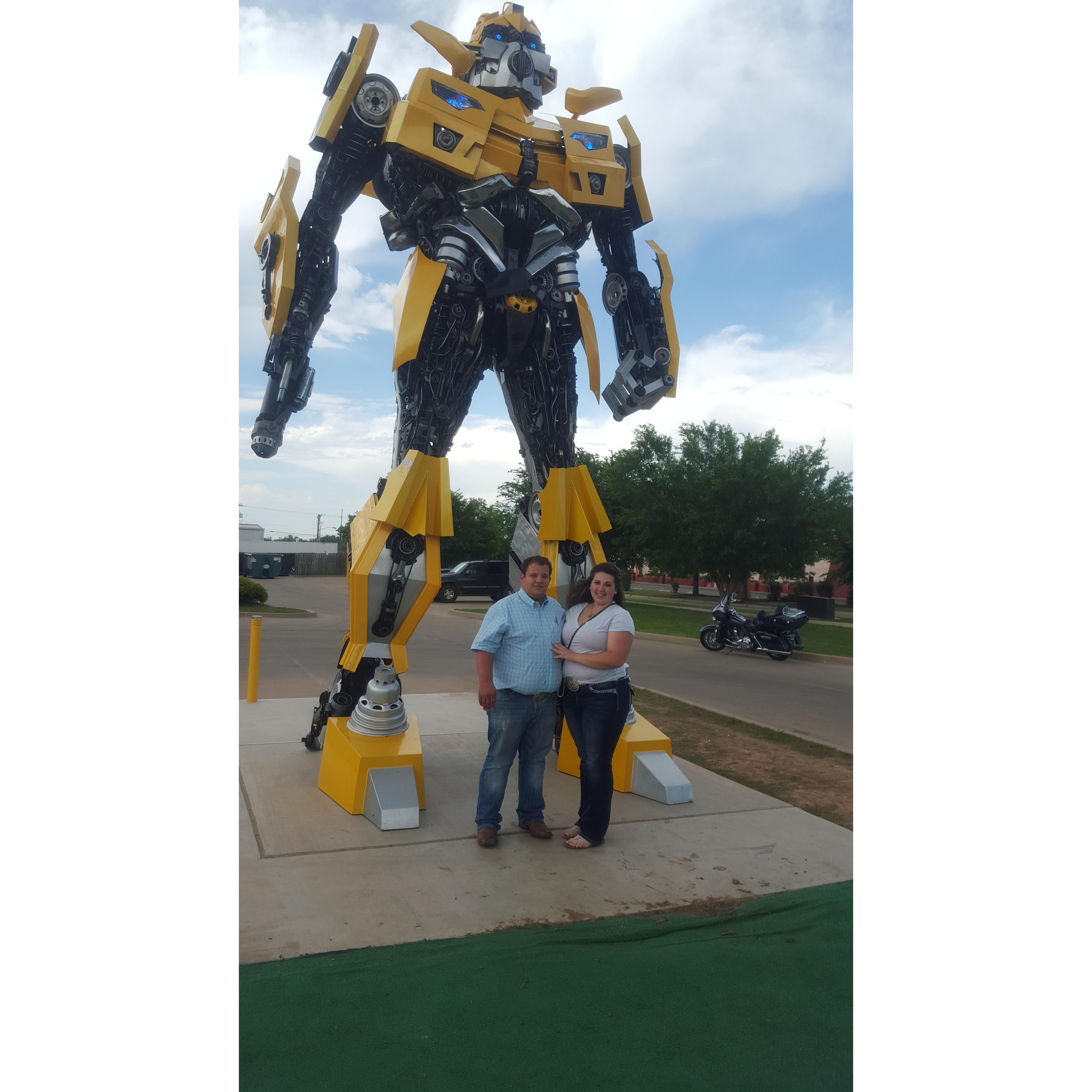 Hanging out with bumblebee.