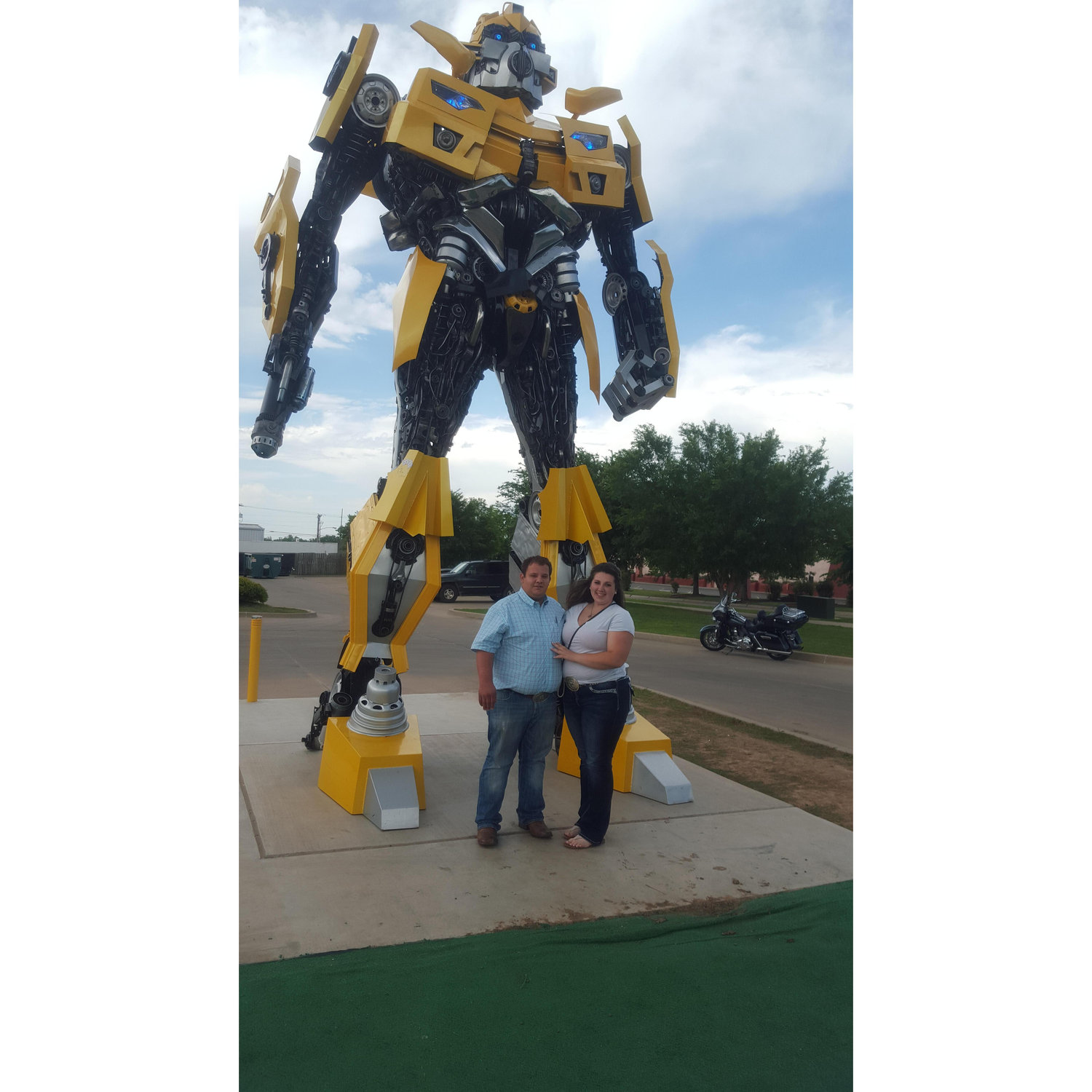 Hanging out with bumblebee.