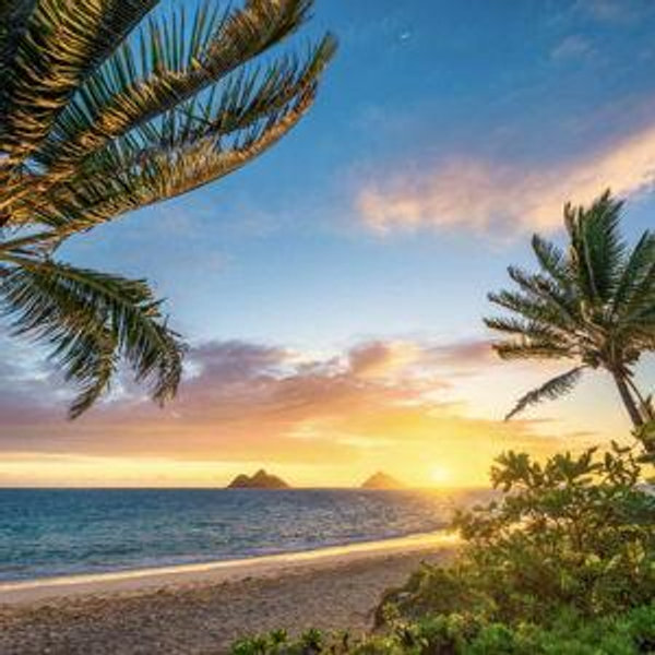 Honeymoon in Hawaii