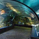 Omaha's Henry Doorly Zoo and Aquarium