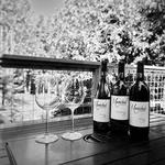 Marechal Vineyards