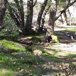 Rockville Hills Regional Park
