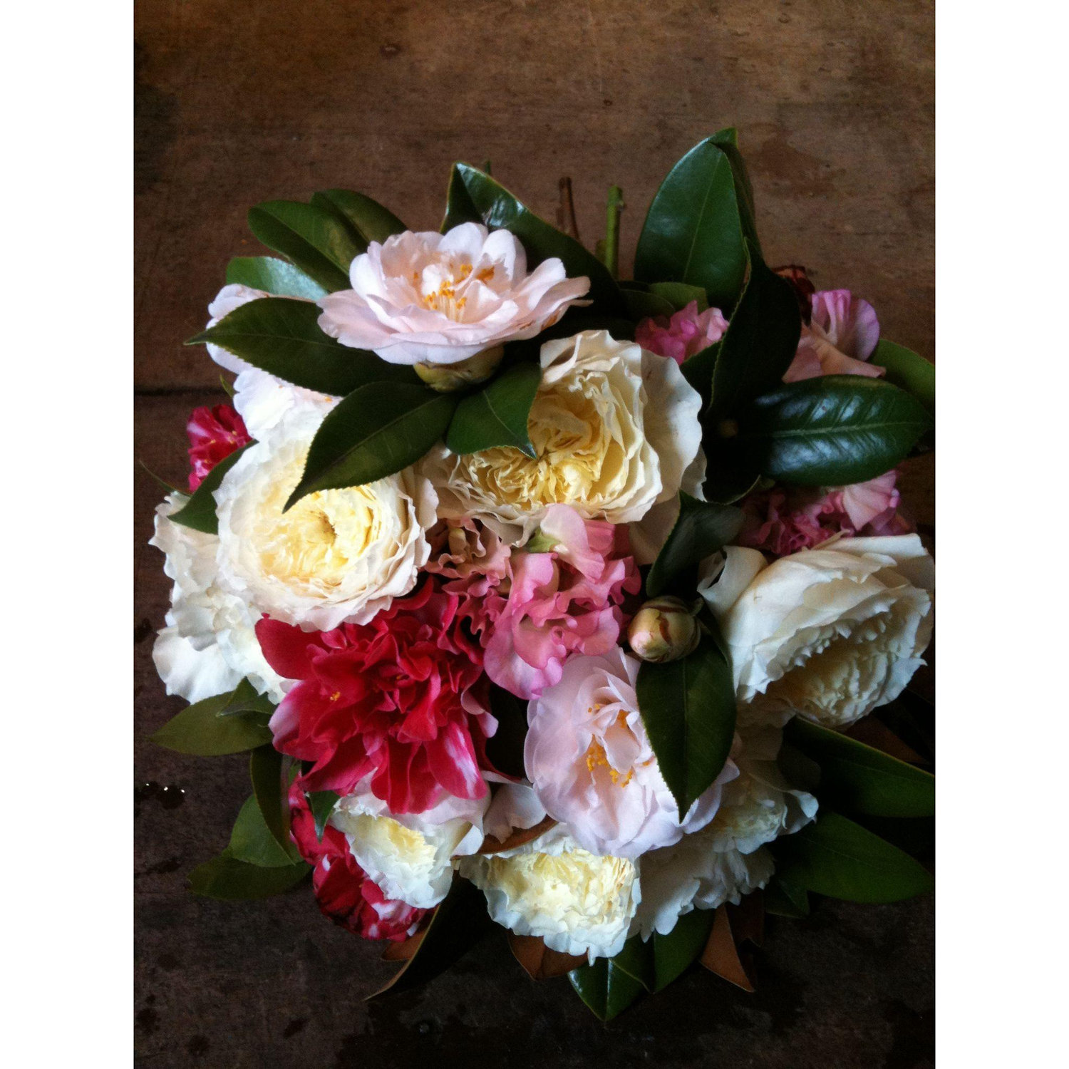 The Victorians used different styles and colors of various flowers to express distinct emotions. My Modern Met said red camellias symbolized "a flame in my heart" and pink meant "longing for you".