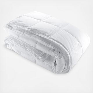 All Season Comforter