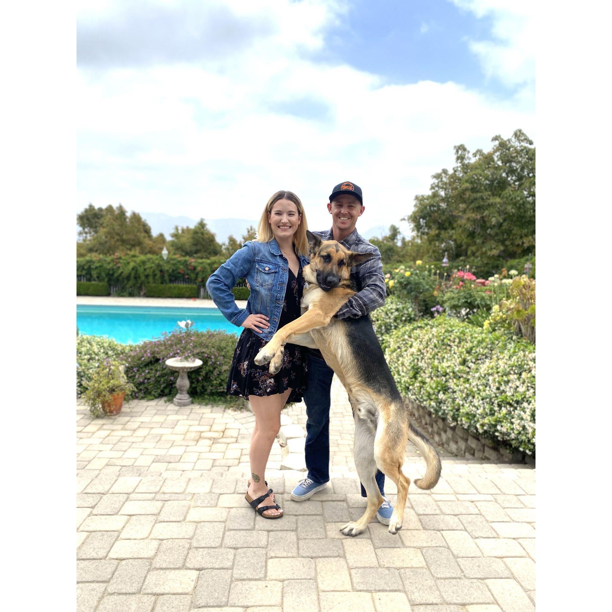 A few weeks after adopting Zeppelin (2021)