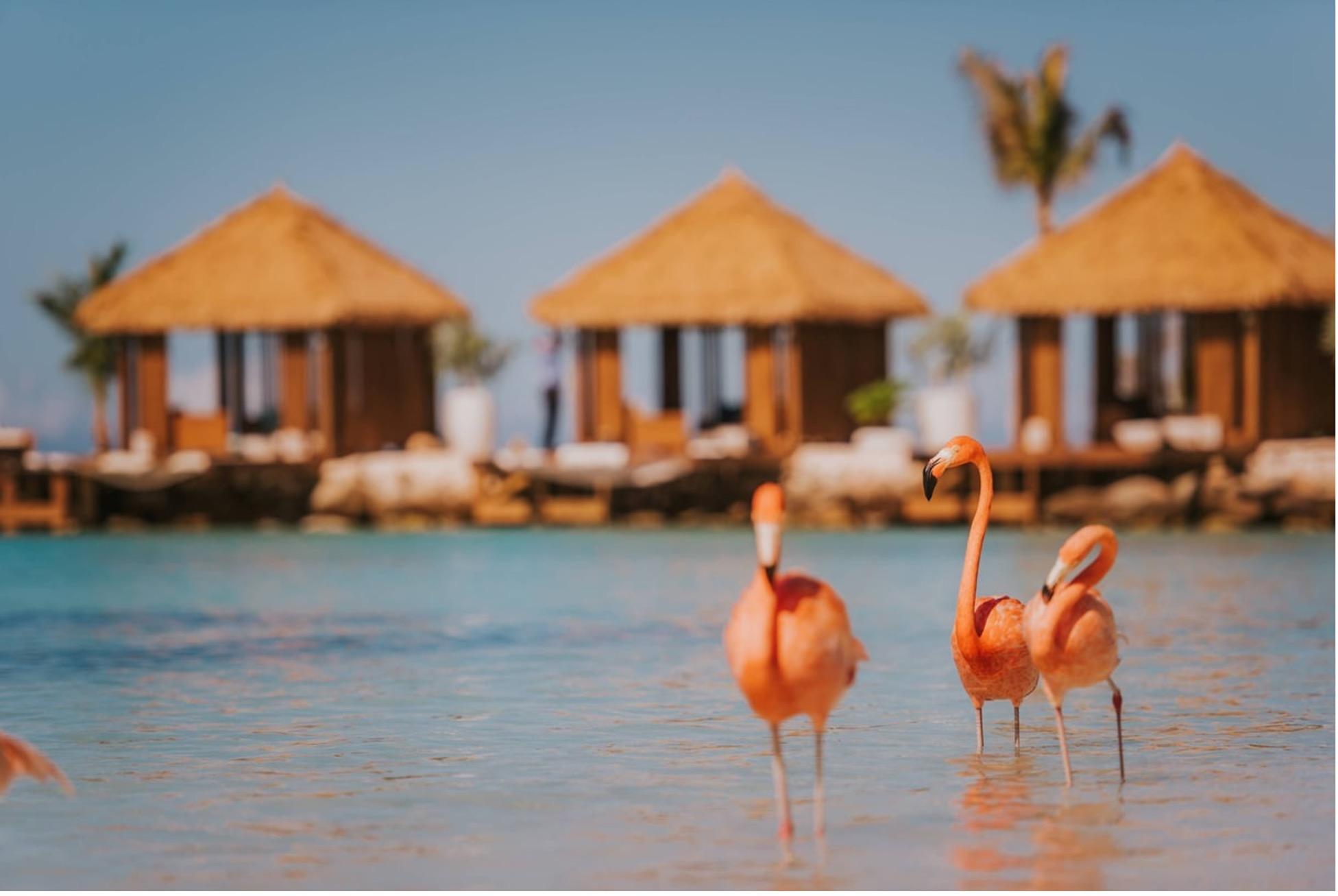 The Wedding Website of Jennifer To and Christopher Butts