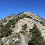 Mount Baldy Hike