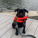 Delaware Water Gap National Recreation Area