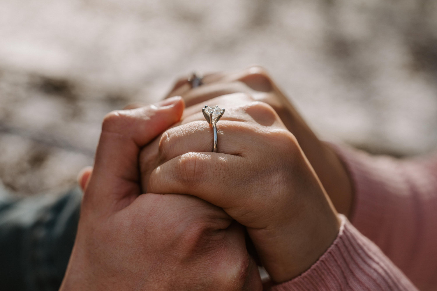 The Wedding Website of Thinh Tran and Gabriel Brambila