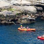 La Jolla Kayak Tour