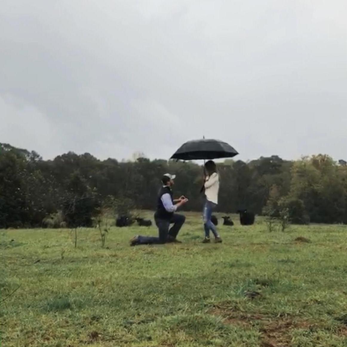 He blindfolded me and took me out to my great grandparents old property that I hadn't been to in years and proposed to me there. He could not have chosen a better place!