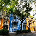 Avenida Colima