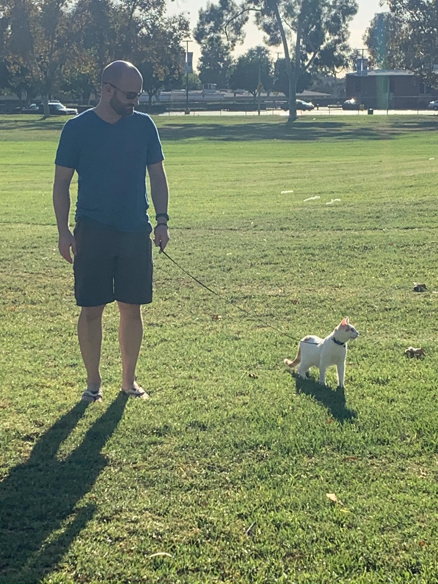 Benny loves to go for a walk in the park!