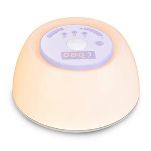 VEHOLION Light Therapy Lamps, Sleep Therapy Wake Up Light Alarm Clock with Sunrise Simulation and 4 Natural Sounds, Snooze Function and Timer White Noise Sound LED Rechargeable, MY-6