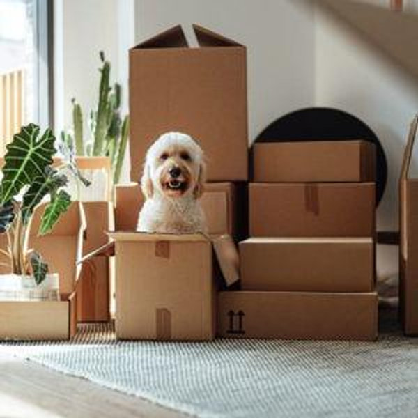 Moving Expenses