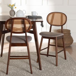 Darrion Mid-Century Modern Counter Stool, Set of 2