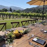 Folktale Winery & Vineyards