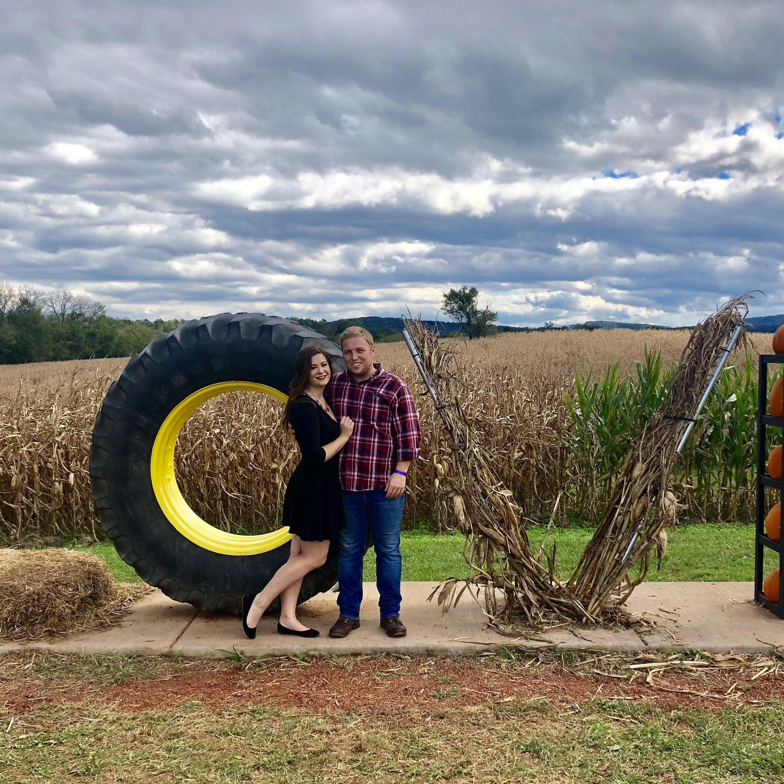 Dinosaur Corn Maze, Oct. 2018